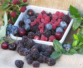 Bright Berry Farms - Holiday Adelaide 0