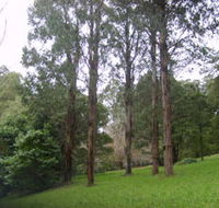 Mount Dandenong Arboretum - Holiday Adelaide