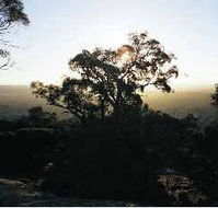 Yarra Flats - Holiday Adelaide