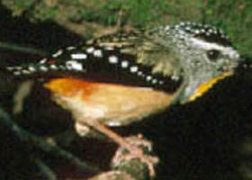 Benalla VIC Holiday Adelaide