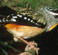 Reef Hills State Park - Holiday Adelaide