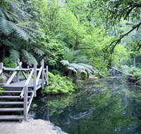 Alfred Nicholas Gardens - Holiday Adelaide