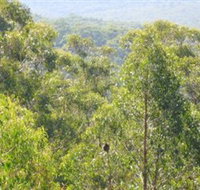 Bunyip State Park - Holiday Adelaide
