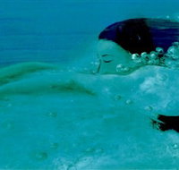 Muse - Holiday Adelaide