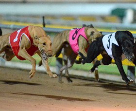 The Beckley Centre - Holiday Adelaide 0