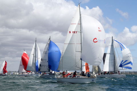 Royal Geelong Yacht Club - Holiday Adelaide 14