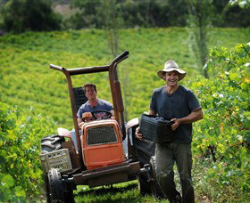 Kellybrook Winery & Kelly Brothers Cider - Holiday Adelaide 0