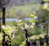 Michelini Wines - Holiday Adelaide