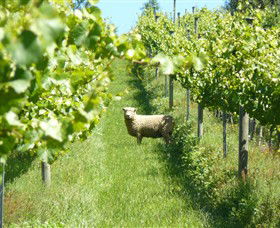 Passing Clouds - Holiday Adelaide 0