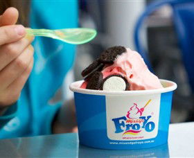 Mix And Go FroYo - Holiday Adelaide 0