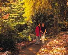 George Tindale Memorial Gardens - Holiday Adelaide 0