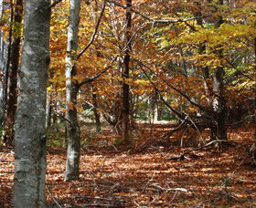 RJ Hamer Arboretum - Holiday Adelaide 0