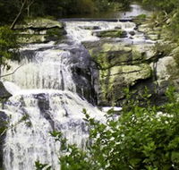Agnes Falls Scenic Reserve - Holiday Adelaide