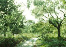 Holey Plains State Park - Holiday Adelaide 0