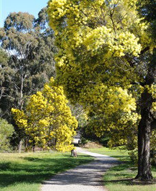 Surrey Hills VIC Holiday Adelaide