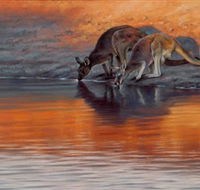 Steve Morvell Wildlife Art - Holiday Adelaide