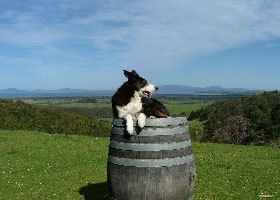 Foster VIC Holiday Adelaide