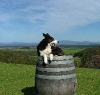 Windy Ridge Vineyard and Winery - Holiday Adelaide