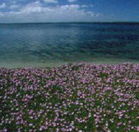 The Lakes National Park - Holiday Adelaide