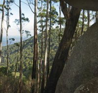 Gulaga National Park - Holiday Adelaide