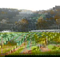 Tilba Valley Wines - Holiday Adelaide