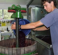 Fern Gully Winery - Holiday Adelaide