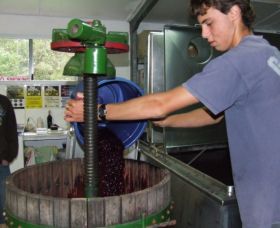 Fern Gully Winery - Holiday Adelaide 0