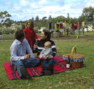 Blackbutt Forest Reserve - Holiday Adelaide