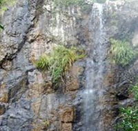 Wedding Bells Forest Drive - Holiday Adelaide