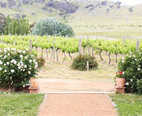 Brindabella Hills Winery - Holiday Adelaide 0