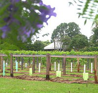 Douglas Vale Historic Homestead  Vineyard - Holiday Adelaide