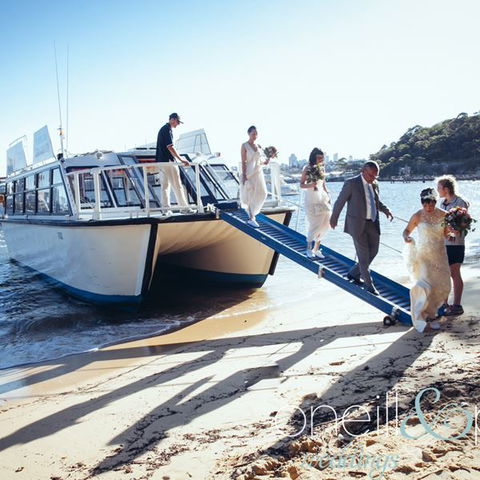 H2O Maxi Taxis - Holiday Adelaide 3