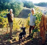 Mt Lofty Ranges Vineyard