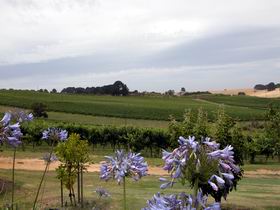 Mount Jagged Wines - Holiday Adelaide 1