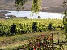 Mount Jagged Wines - Holiday Adelaide 2