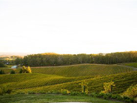 Pike And Joyce Wines - Holiday Adelaide 1