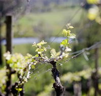 Stonier Wines - Holiday Adelaide
