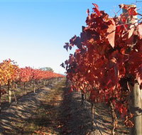 Kooyonga Creek Wines - Holiday Adelaide