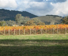 Kooyonga Creek Wines - Holiday Adelaide 4