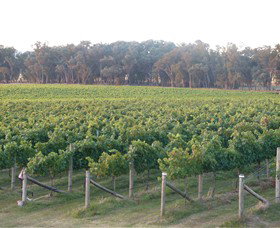 Kooyonga Creek Wines - Holiday Adelaide 6
