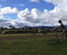 Kooyonga Creek Wines - Holiday Adelaide 3