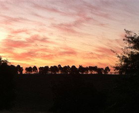 Kooyonga Creek Wines - Holiday Adelaide 2