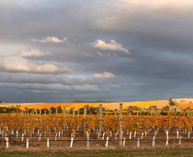 Coombe Yarra Valley - Holiday Adelaide 1