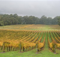 Boat O'Craigo Wines - Holiday Adelaide