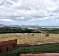 The Hazards Vineyard - Devil's Corner - Holiday Adelaide