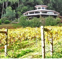 Peveril Vineyard/Beechy Berries - Holiday Adelaide