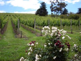 Mount Duneed ACT Holiday Adelaide