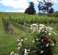 Pembroke Estate Vineyard - Holiday Adelaide