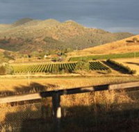 Optimiste Wines - Holiday Adelaide