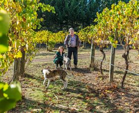 Little River Wines Of Taggerty - Holiday Adelaide 0